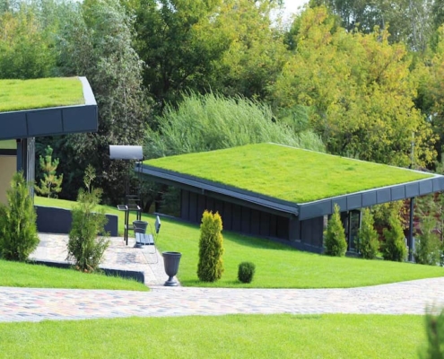 Guía para crear tu techo verde en casa.