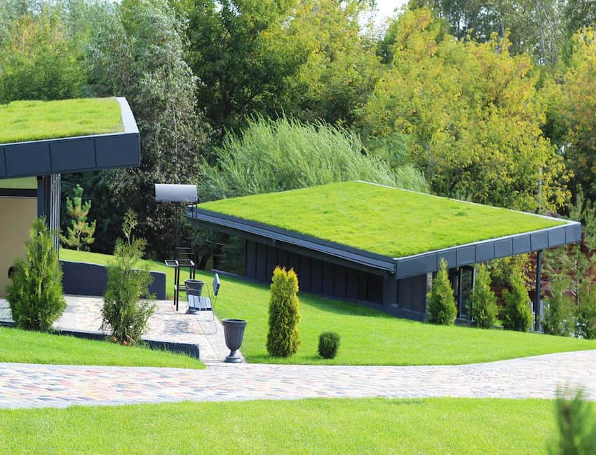 Guía para crear tu techo verde en casa.